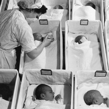 Rows of newly born babies in a maternity ward in a US hospital.