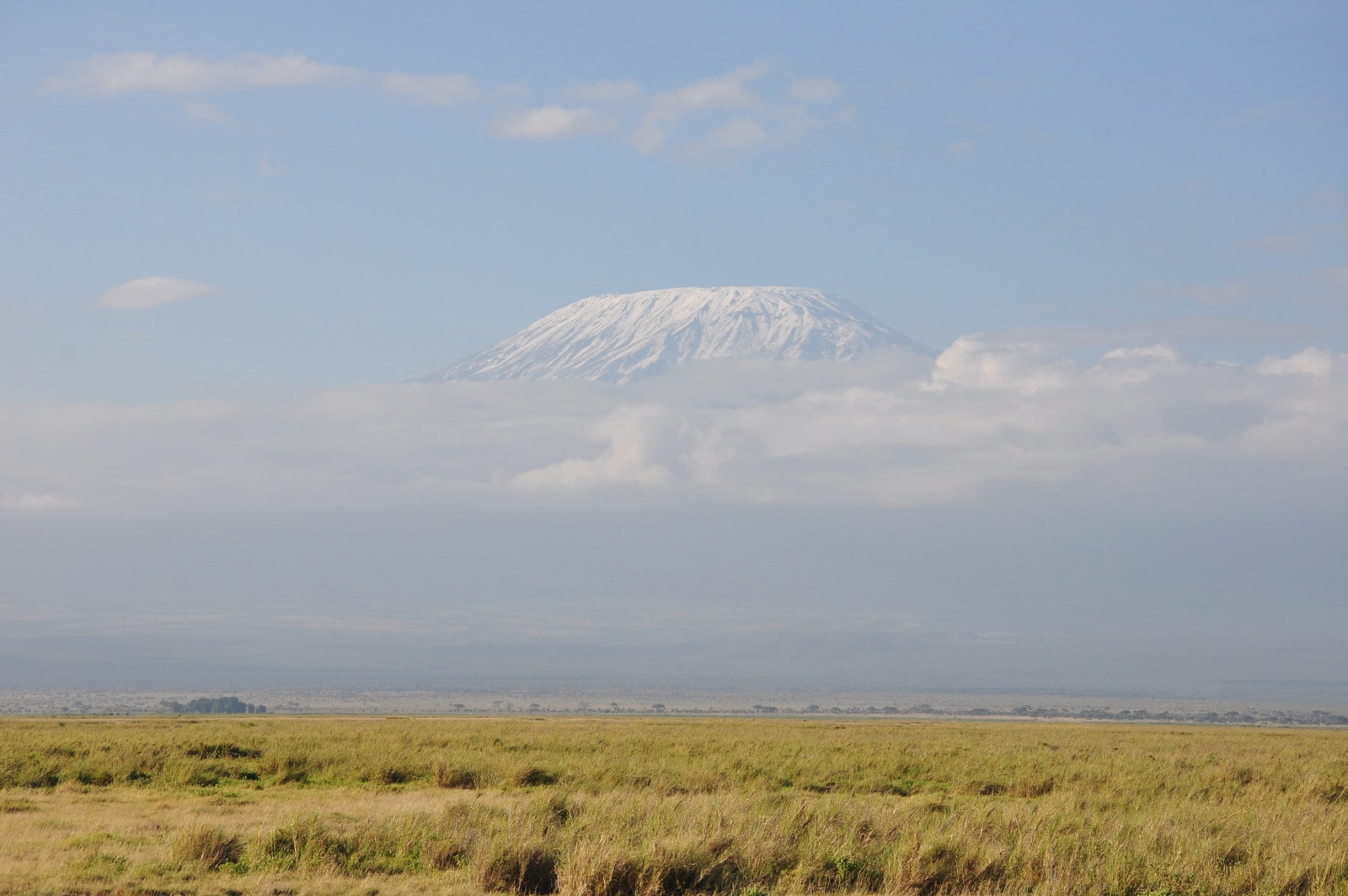Вид открывающийся на Килиманджаро из национального парка Амбосели
