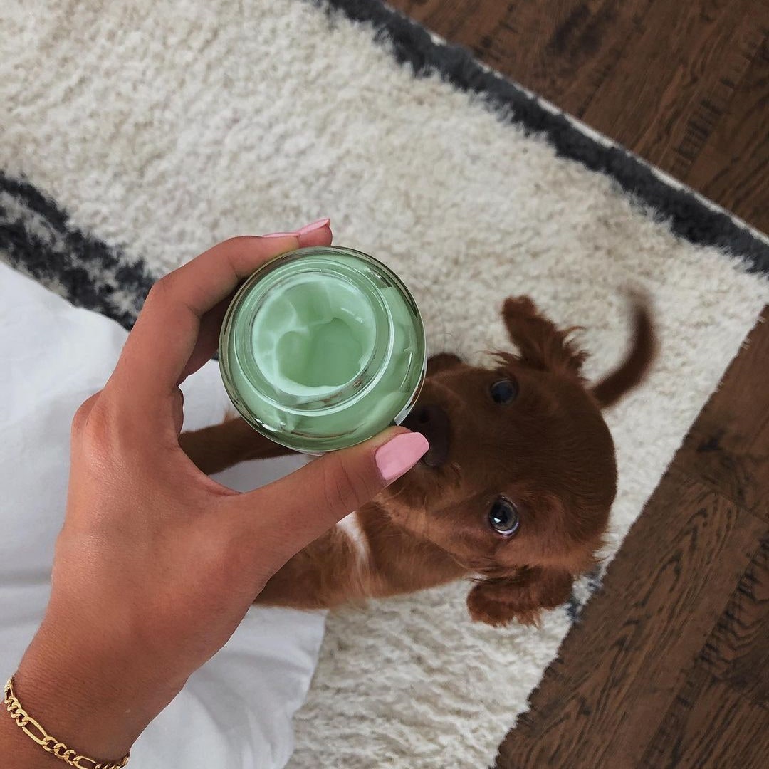 Нам всем стоит начать выбирать cruelty-free косметику &- и вот почему