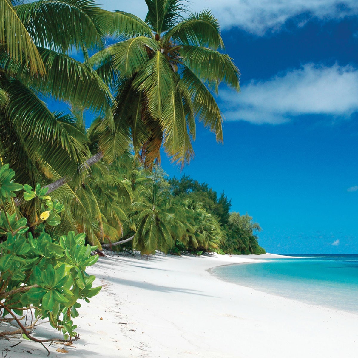 На какие Сейшельские острова стоит отправиться этим летом