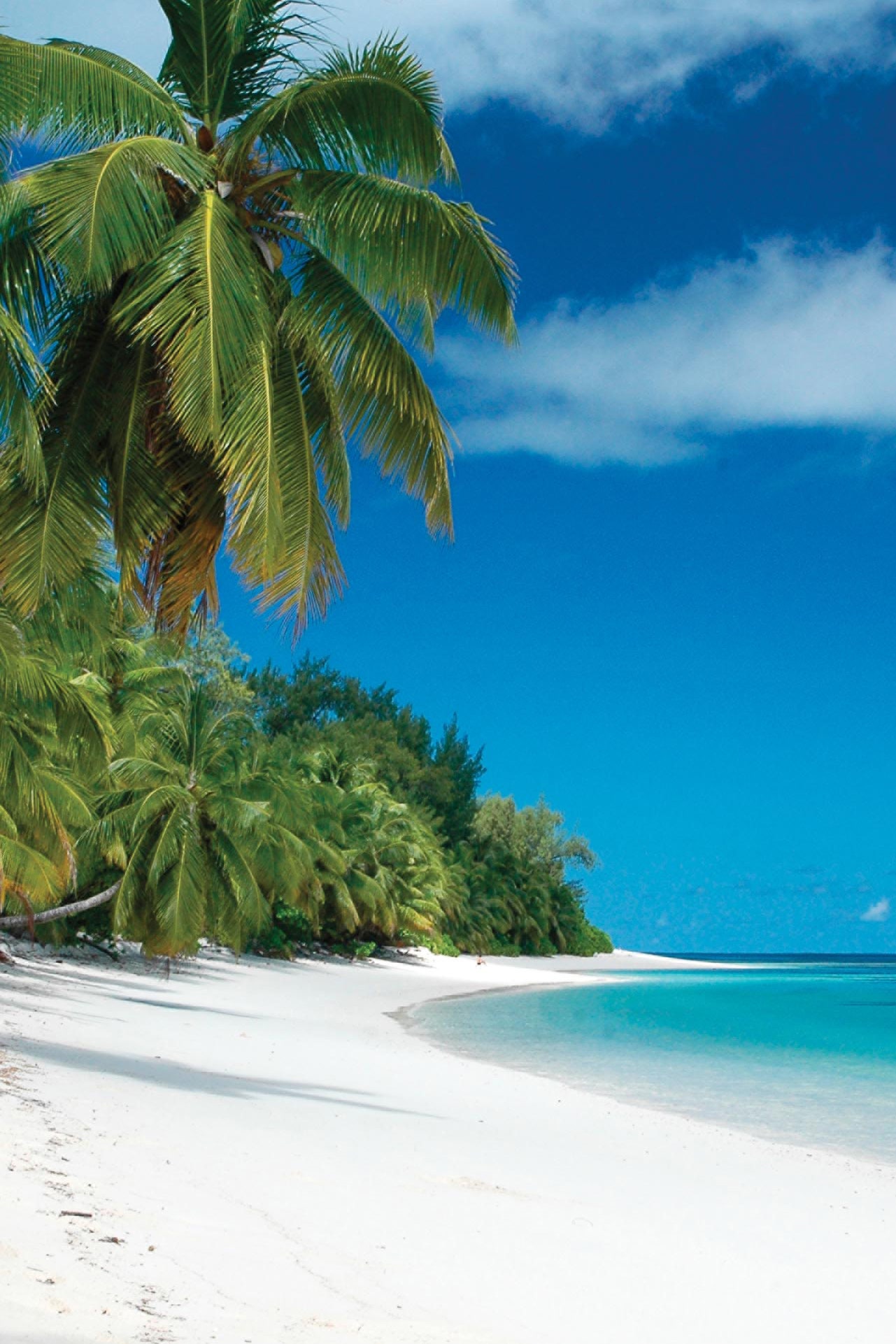 На какие Сейшельские острова стоит отправиться этим летом