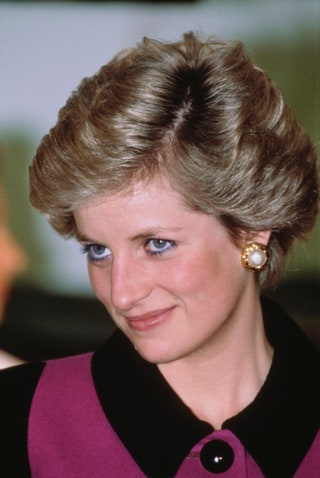 Image may contain Diana Princess of Wales Human Person and Face