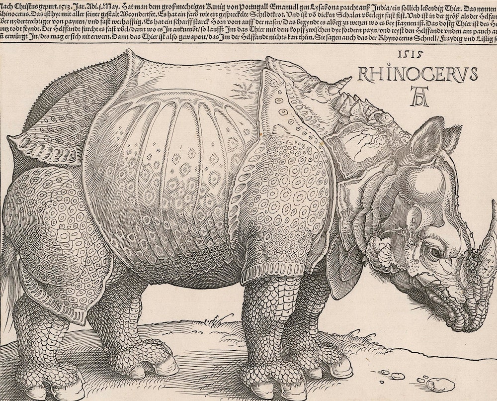 Альбрехт Дюрер. «Носорог» 1515