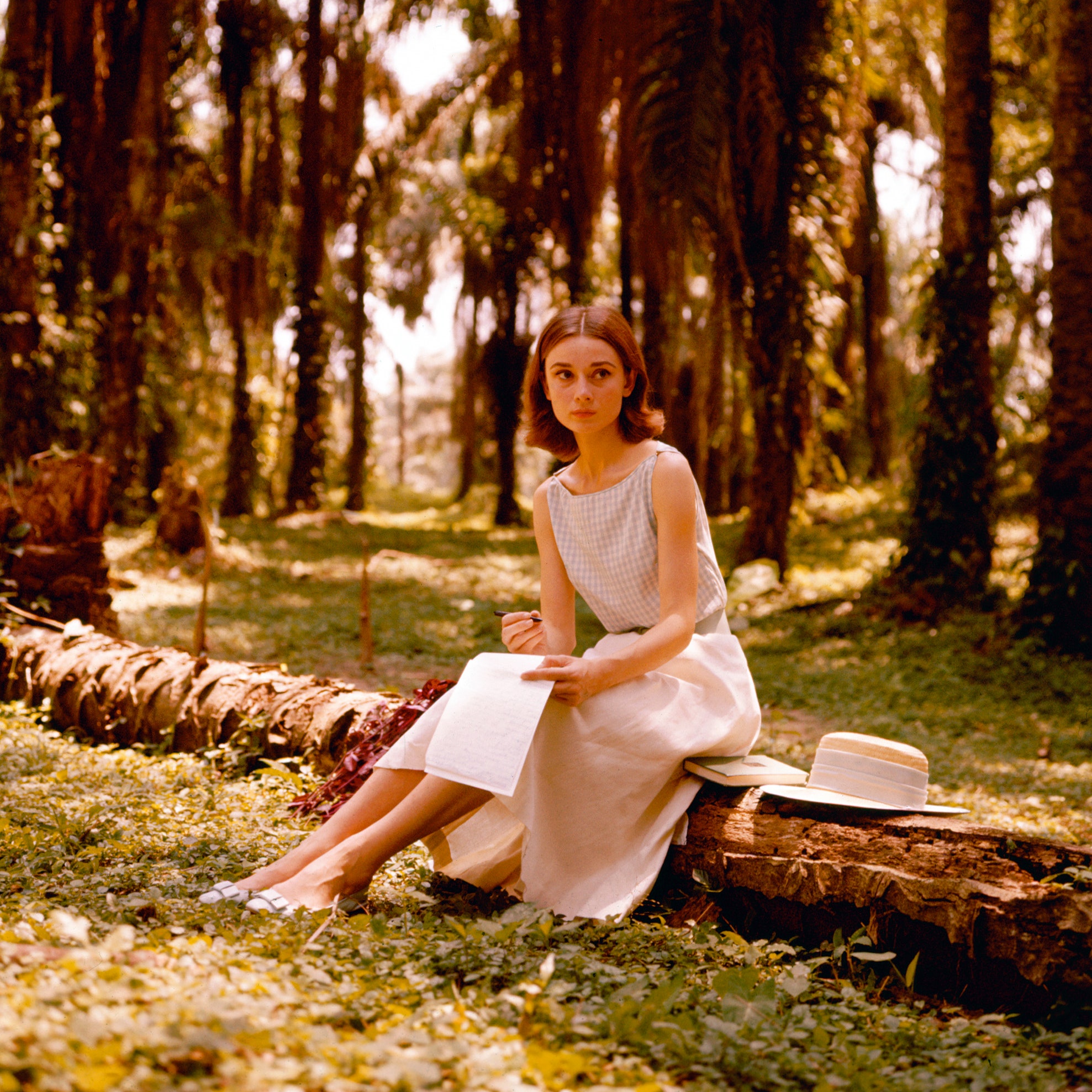 Belgian born actress Audrey Hepburn  writing a letter in a palm grove circa 1955.