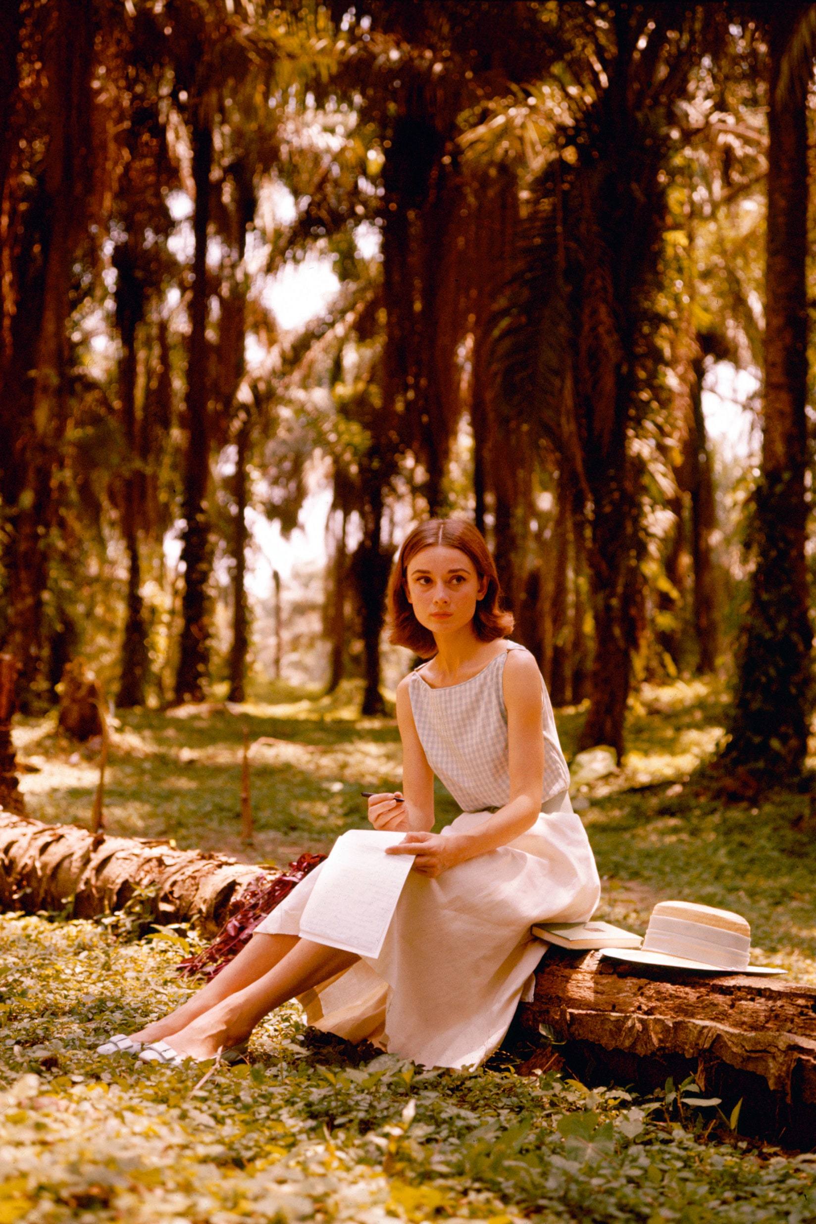 Belgian born actress Audrey Hepburn  writing a letter in a palm grove circa 1955.